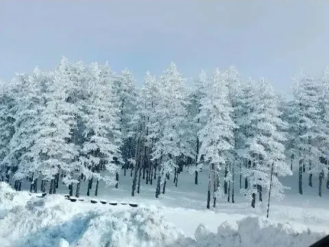 Sale, land lot, 1143m², Zlatibor, Srbija - image 4