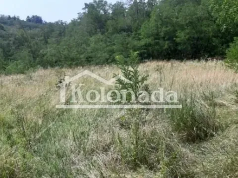 Prodaja, plac, 10745m², Sopot, Beograd - image 4