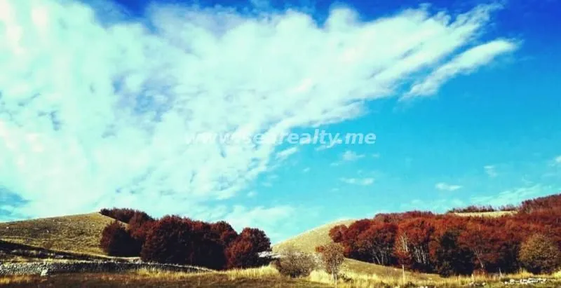 Prodaja, plac, 4307m², Njeguši, Cetinje