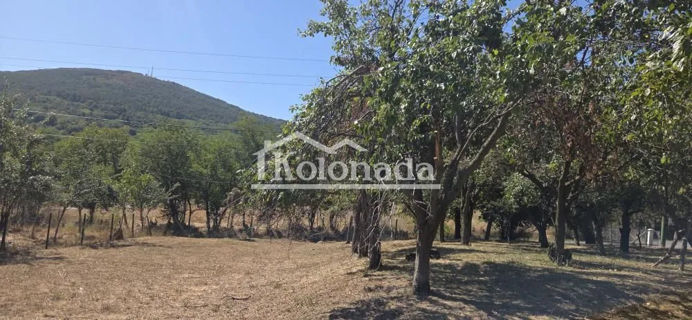 Pogled na zeleno dvorište i voćnjak sa drvećem.