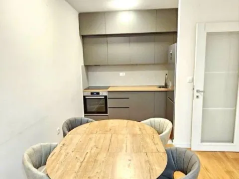 Izdavanje, jednosoban stan, 53m², Central Point, Podgorica - image 6