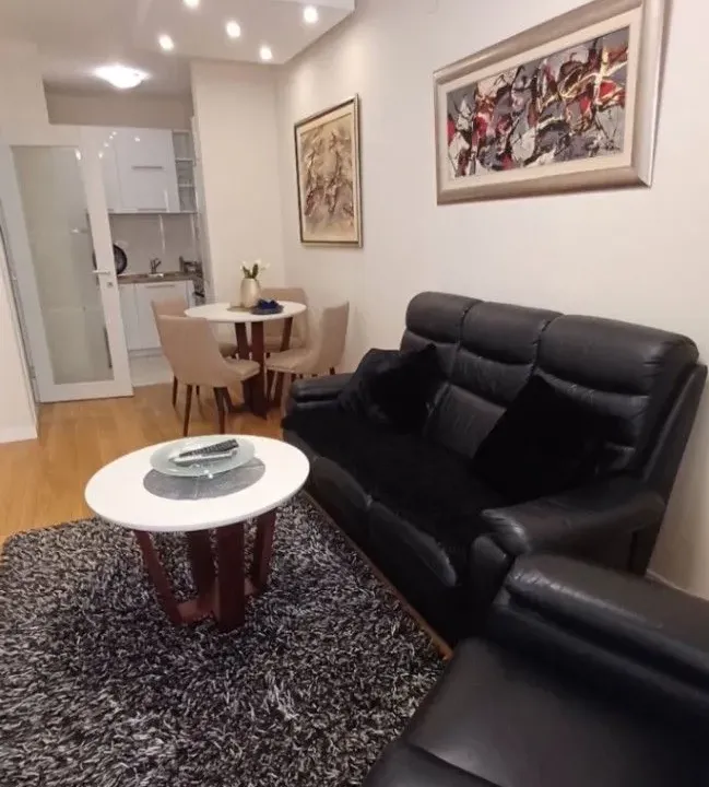 Izdavanje, jednosoban stan, 41m², Central Point, Podgorica