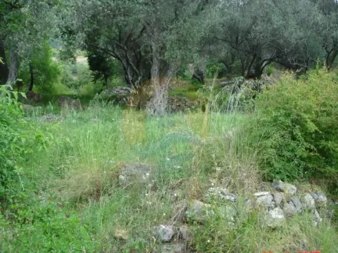 Prodaja, plac, 1500m², Kavač, Kotor - image 3