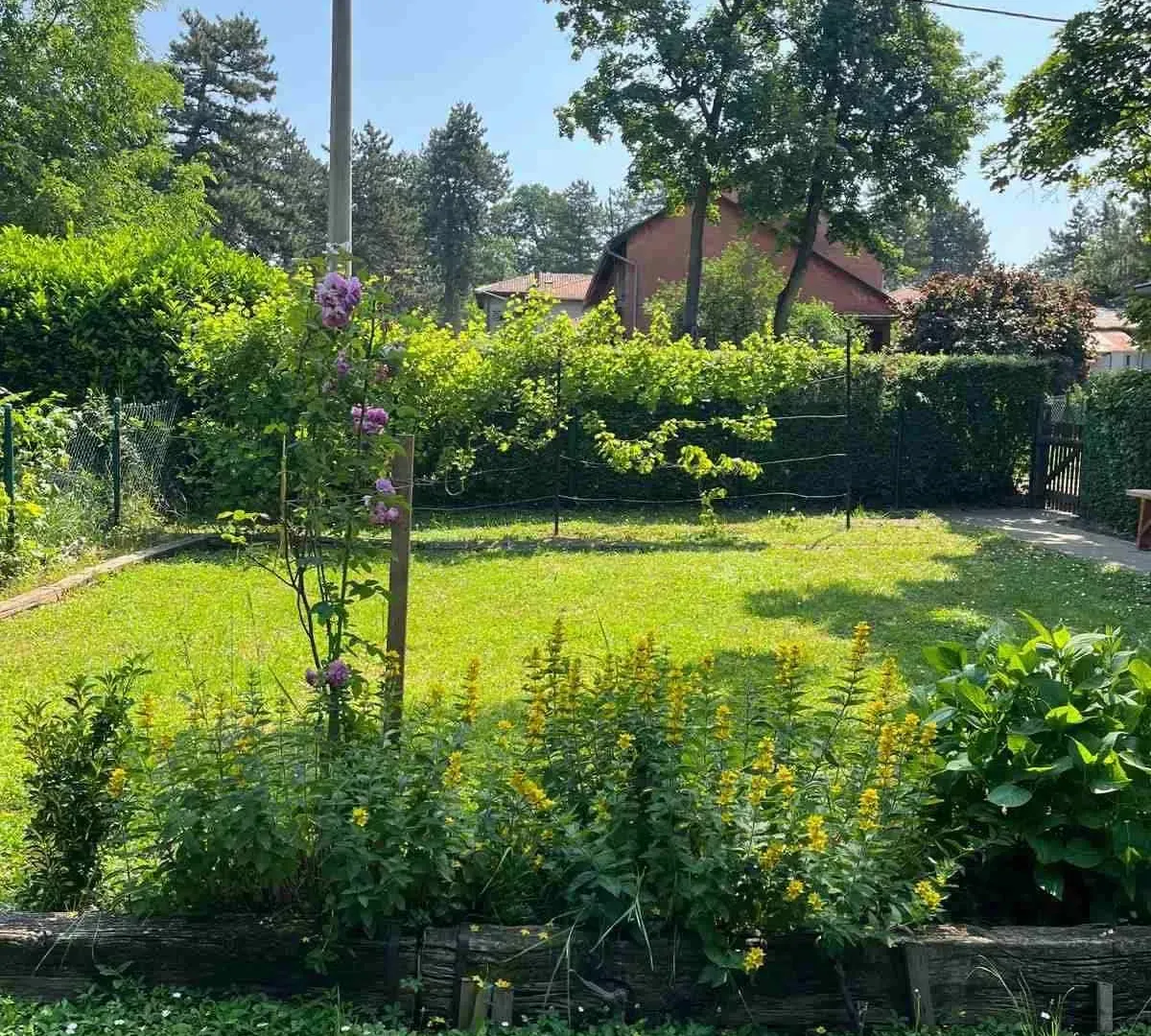 Prodaja, kuća, 65m², Veliki Crljeni, Lazarevac