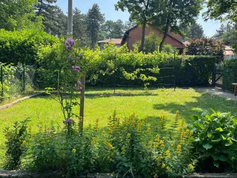Prodaja, kuća, 65m², Veliki Crljeni, Lazarevac - image 11