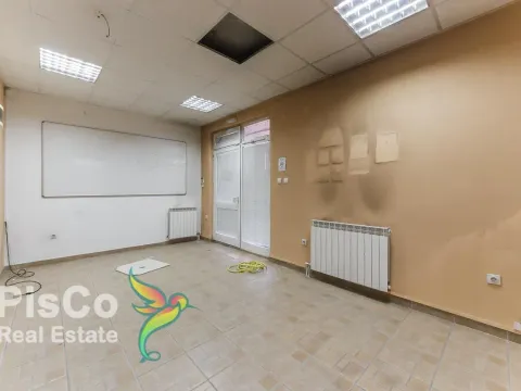 Izdavanje, poslovni prostor, 195m², Zabjelo, Podgorica - image 2