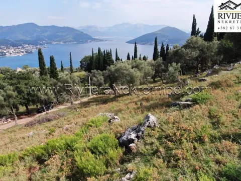 Prodaja, plac, 4323m², Žvinje, Herceg Novi - image 6