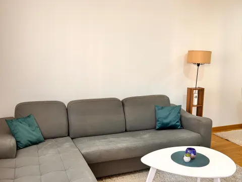 Izdavanje, jednosoban stan, 45m², New City, Podgorica - image 4