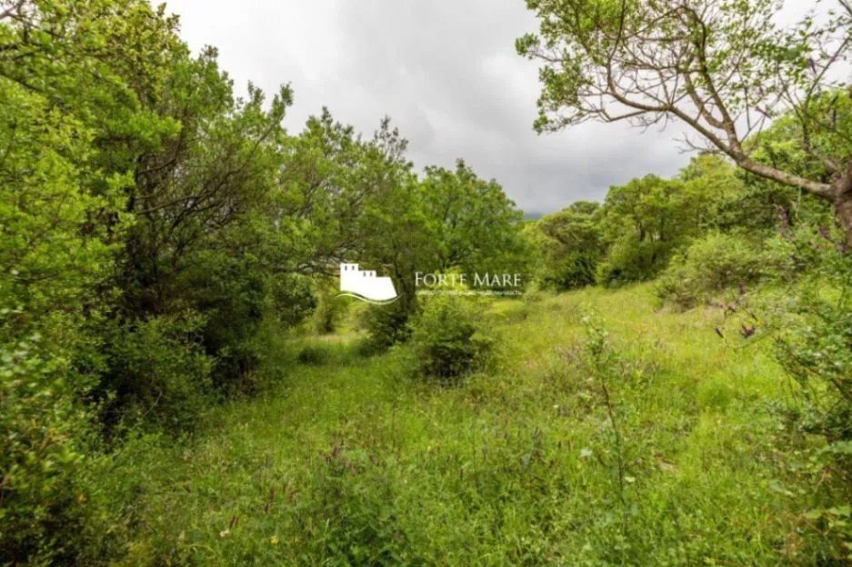 Prodaja, plac, 1803m², Zelenika, Herceg Novi