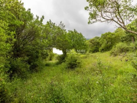 Prodaja, plac, 1803m², Zelenika, Herceg Novi - image 5