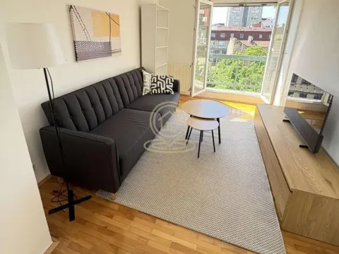 Izdavanje, dvosoban stan, 45m², Stari Grad, Beograd - image 2