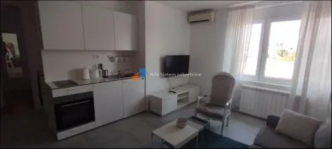 Izdavanje, dvosoban stan, 42m², Vračar Sve Podlokacije, Beograd - image 6