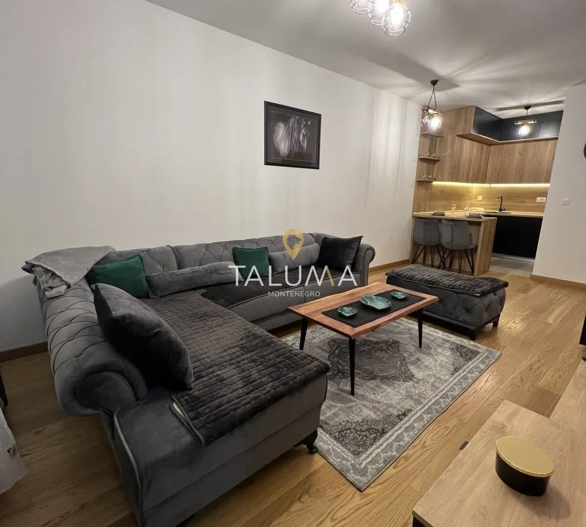 Rent, one bedroom apartment, 47m², City Kvart, Podgorica