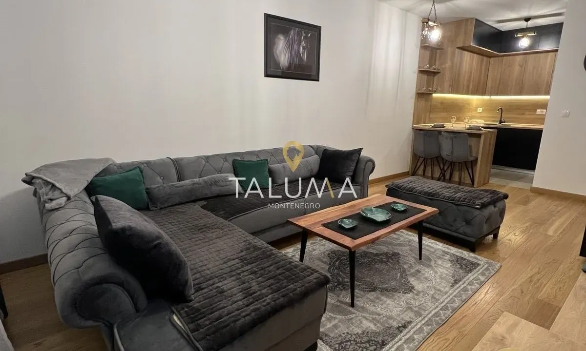 Rent, one bedroom apartment, 47m², City Kvart, Podgorica