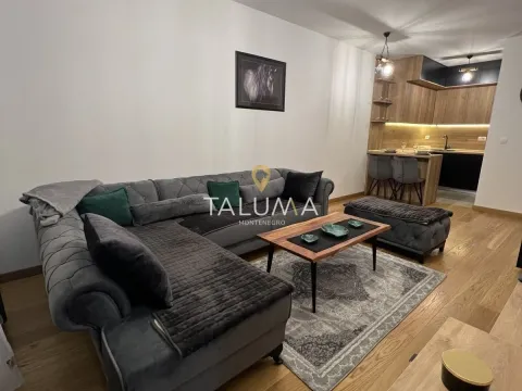 Rent, one bedroom apartment, 47m², City Kvart, Podgorica - image 1