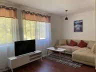 Sale, one bedroom apartment, 49m², Petrovac, Budva - image 1