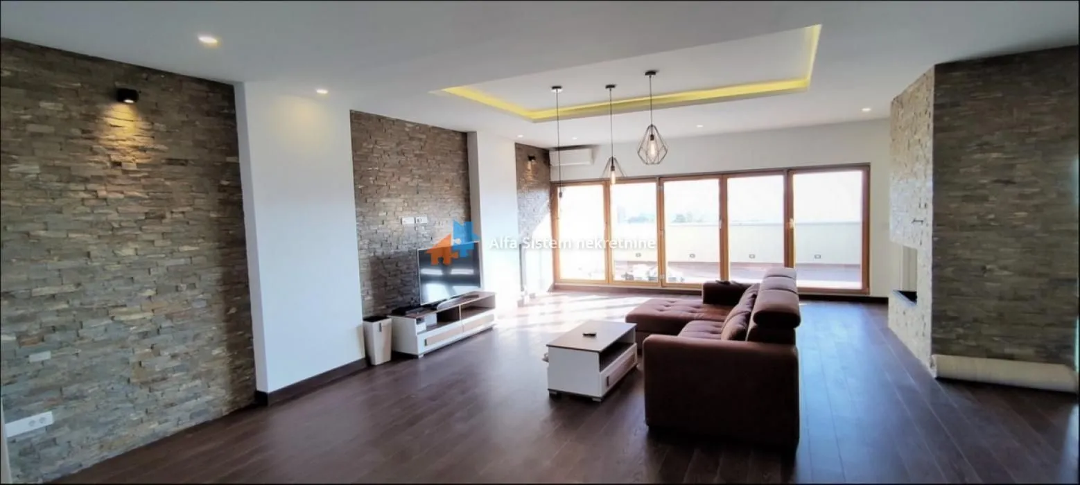 Izdavanje, stan, 231m², Vračar Hram, Vračar Sve Podlokacije