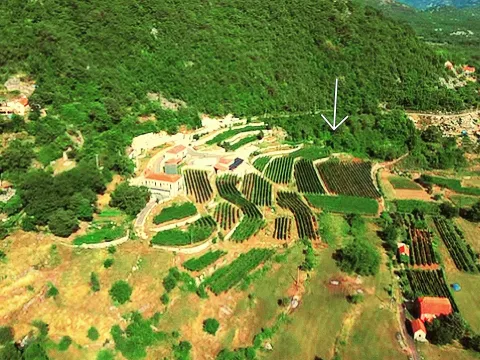Prodaja, plac, 4400m², Dobrsko Selo, Cetinje - image 1