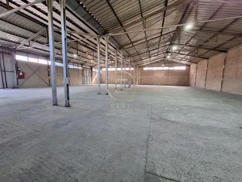 Izdavanje, poslovni prostor, 750m², Veternička rampa, Novi Sad Sve Podlokacije - image 3