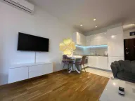 Izdavanje, garsonjera, 30m², Ljubović, Podgorica - image 4