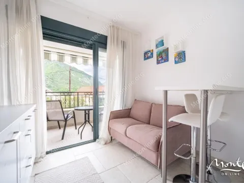 Sale, one bedroom apartment, 42m², Dobrota, Kotor - image 10