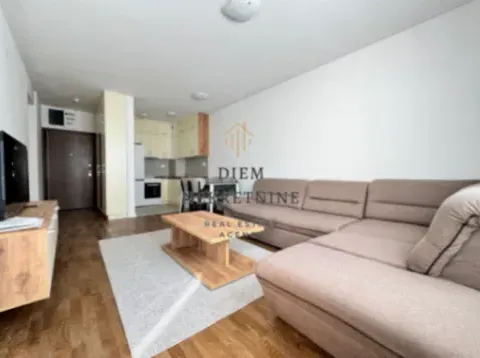 Izdavanje, jednosoban stan, 50m², Stari Aerodrom, Podgorica - image 9