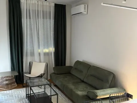 Izdavanje, dvosoban stan, 50m², Zabjelo, Podgorica - image 4