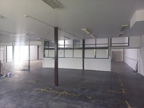 Izdavanje, poslovni prostor, 700m², Zemun Sve Podlokacije, Beograd - image 6