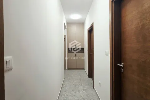 Rent, one bedroom apartment, 46m², Vezirov Most, Podgorica - image 8