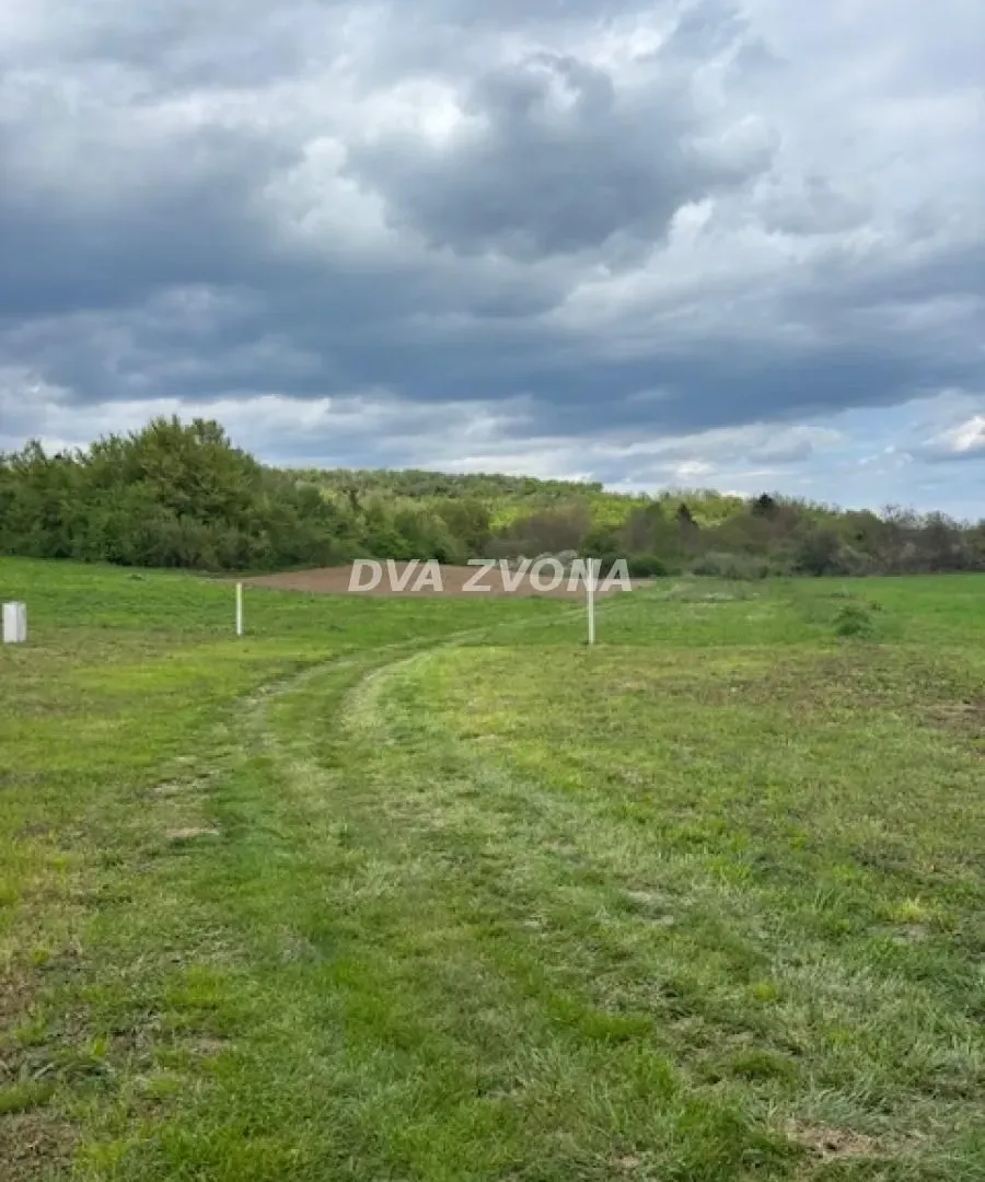 Prodaja, plac, 6400m², Čortanovci, Inđija