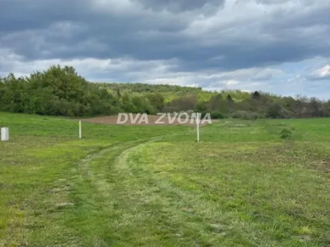 Prodaja, plac, 6400m², Čortanovci, Inđija - image 8