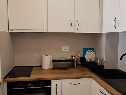 Izdavanje, jednosoban stan, 40m², Central Point, Podgorica - image 8