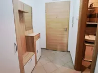 Izdavanje, garsonjera, 30m², Tuški Put, Podgorica - image 3