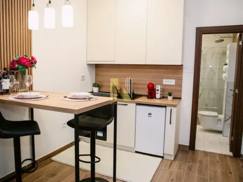 Sale, studio apartment, 33m², Banja Vrdnik, Irig - image 5