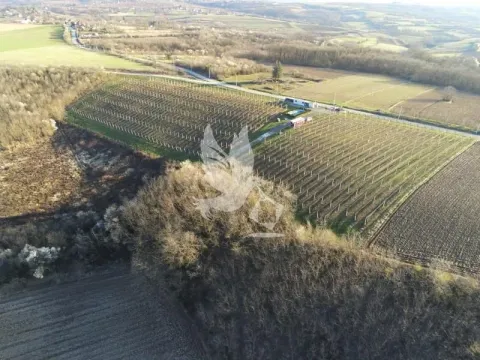 Prodaja, plac, 20000m², Nemenikuće, Sopot - image 4