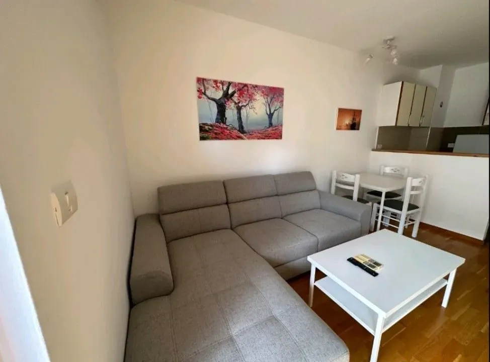 Izdavanje, jednosoban stan, 50m², City Kvart, Podgorica