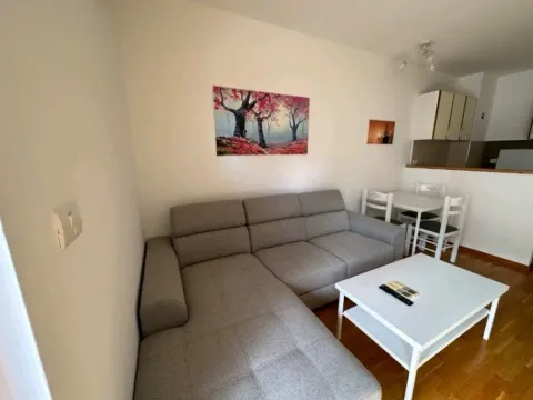 Rent, one bedroom apartment, 50m², City Kvart, Podgorica