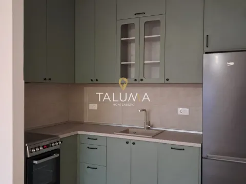 Rent, one bedroom apartment, 44m², Zabjelo, Podgorica - image 2