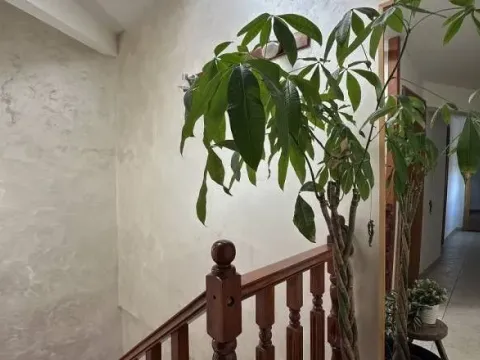 Prodaja, trosoban stan, 93m², Vračar Hram, Vračar Sve Podlokacije - image 10