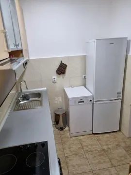 Izdavanje, jednosoban stan, 50m², Preko Morače, Podgorica - image 15