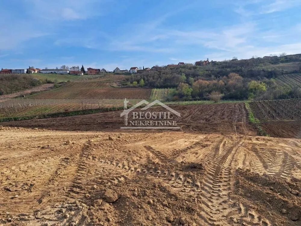 Prodaja, plac, 4966m², Brestovik, Grocka