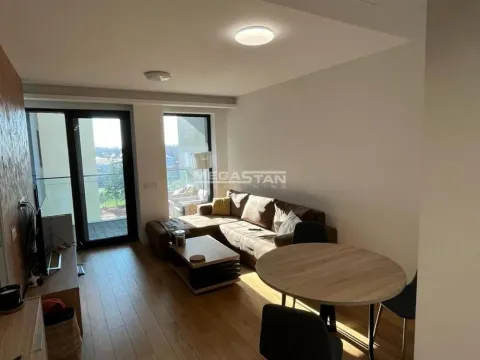 Izdavanje, dvosoban stan, 45m², Novi Beograd Sve Podlokacije, Beograd - image 2