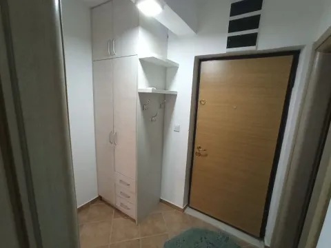 Izdavanje, jednosoban stan, 40m², Stari Aerodrom, Podgorica - image 3