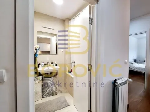 Izdavanje, dvosoban stan, 44m², Vračar Sve Podlokacije, Beograd - image 12