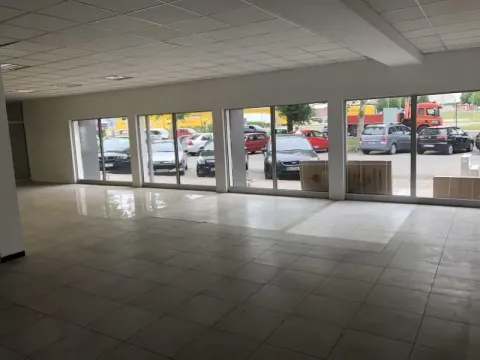 Izdavanje, poslovni prostor, 280m², Altina, Beograd - image 5