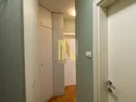 Izdavanje, jednosoban stan, 40m², Detelinara, Novi Sad Sve Podlokacije - image 11