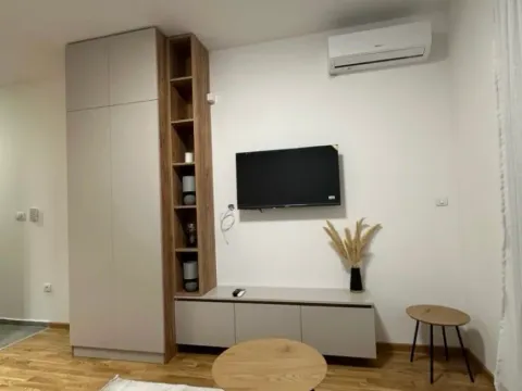 Izdavanje, garsonjera, 24m², Zabjelo, Podgorica - image 3