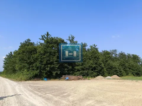 Prodaja, kuća, 824m², Brestovo, Despotovac - image 28