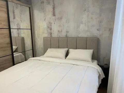 Rent, one bedroom apartment, 48m², Golubovina, Budva - image 2
