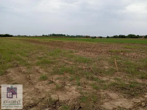 Sale, land lot, 1900m², Zvečka, Obrenovac - image 4